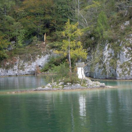 Haus Zimmermann Otel Saint Wolfgang Dış mekan fotoğraf